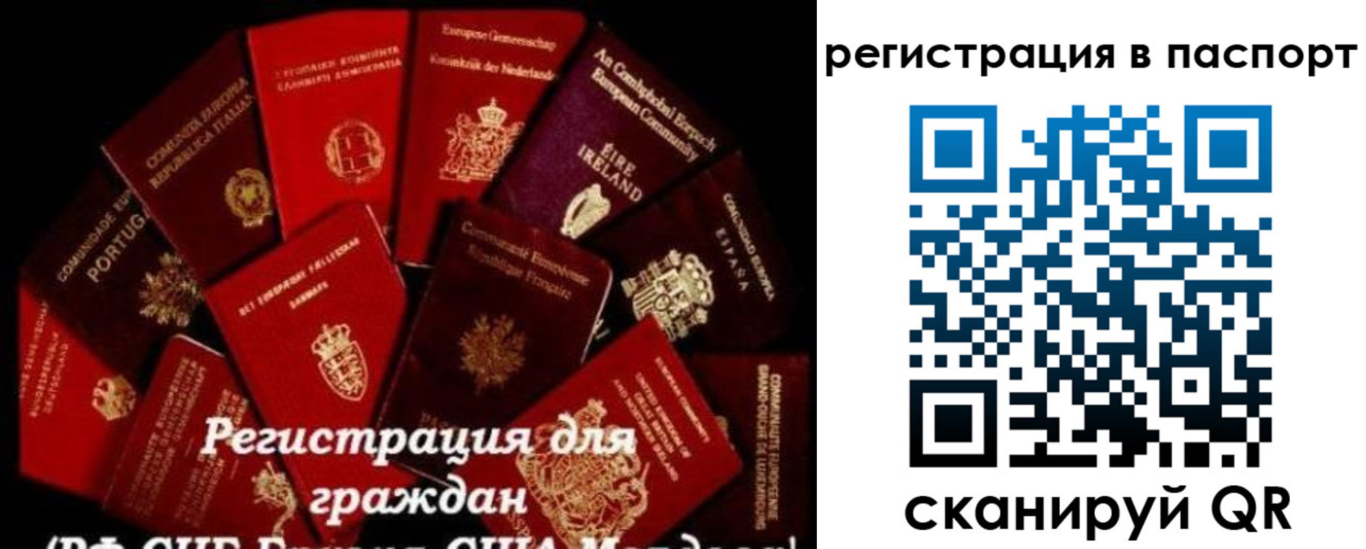 миграционный учет в Торопеце